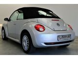 VW New Beetle bei Reisemobile.expert - Abbildung (5 / 15)
