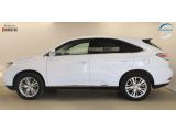 Lexus RX bei Reisemobile.expert - Abbildung (4 / 15)