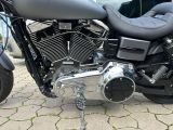 Harley-Davidson Softail bei Reisemobile.expert - Abbildung (5 / 8)