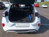 Ford Puma bei Reisemobile.expert - Abbildung (6 / 15)