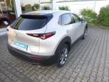 Mazda SKYACTIV-X HYBRID TOP bei Reisemobile.expert - Abbildung (4 / 15)