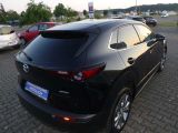 Mazda SKYACTIV-G 2.0 Hybrid Selection bei Reisemobile.expert - Abbildung (4 / 15)