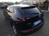 Mazda SKYACTIV-G 2.0 Hybrid Selection bei Reisemobile.expert - Abbildung (2 / 15)