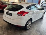 Ford Focus bei Reisemobile.expert - Abbildung (4 / 15)