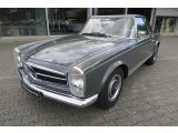 Mercedes-Benz 230 bei Reisemobile.expert - Abbildung (9 / 10)