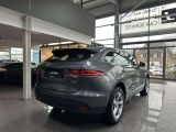 Jaguar F-Pace bei Reisemobile.expert - Abbildung (5 / 15)