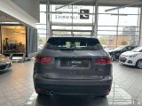 Jaguar F-Pace bei Reisemobile.expert - Abbildung (6 / 15)