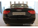 Audi A5 Cabriolet bei Reisemobile.expert - Abbildung (3 / 15)