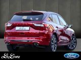 Ford Kuga bei Reisemobile.expert - Abbildung (2 / 15)