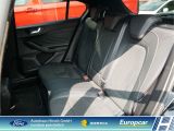 Ford Focus ST bei Reisemobile.expert - Abbildung (12 / 15)