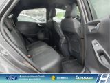 Ford Puma bei Reisemobile.expert - Abbildung (11 / 15)