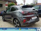 Ford Puma bei Reisemobile.expert - Abbildung (4 / 15)