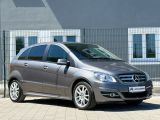 Mercedes-Benz B-Klasse bei Reisemobile.expert - Abbildung (2 / 15)