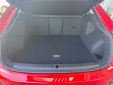 Audi Q3 bei Reisemobile.expert - Abbildung (7 / 15)