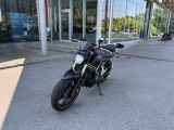 Yamaha MT bei Reisemobile.expert - Abbildung (7 / 14)