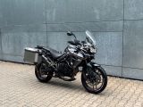 Triumph Tiger bei Reisemobile.expert - Abbildung (2 / 15)