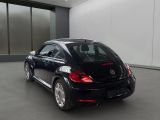VW Beetle bei Reisemobile.expert - Abbildung (14 / 15)