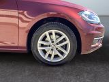 VW Golf VII bei Reisemobile.expert - Abbildung (15 / 15)