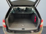 Skoda Octavia bei Reisemobile.expert - Abbildung (14 / 15) Skoda Octavia bei Reisemobile.expert - Abbildung (14 / 15)