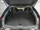 Lexus UX bei Reisemobile.expert - Abbildung (12 / 15)
