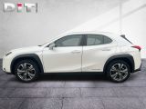 Lexus UX bei Reisemobile.expert - Abbildung (3 / 15)