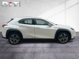 Lexus UX bei Reisemobile.expert - Abbildung (7 / 15)