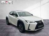 Lexus UX bei Reisemobile.expert - Abbildung (8 / 15)