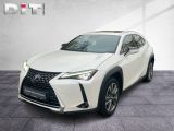 Lexus UX bei Reisemobile.expert - Abbildung (2 / 15)