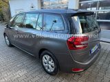 Citroen C4 bei Reisemobile.expert - Abbildung (5 / 15)