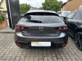 Mazda 3 bei Reisemobile.expert - Abbildung (3 / 9)