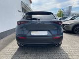 Mazda CX-30 bei Reisemobile.expert - Abbildung (3 / 9)
