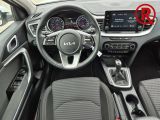 Kia XCeed bei Reisemobile.expert - Abbildung (10 / 15)