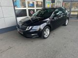 Skoda Octavia bei Reisemobile.expert - Abbildung (2 / 15)