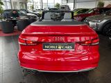 Audi A3 Cabriolet bei Reisemobile.expert - Abbildung (6 / 15)