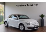 VW Beetle bei Reisemobile.expert - Abbildung (4 / 15)