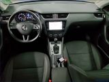 Skoda Octavia bei Reisemobile.expert - Abbildung (5 / 13)