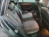 Skoda Octavia bei Reisemobile.expert - Abbildung (13 / 13)
