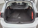 Ford Focus Turnier bei Reisemobile.expert - Abbildung (11 / 15)