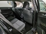 Kia Sportage bei Reisemobile.expert - Abbildung (13 / 15)