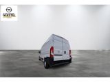 Opel Movano bei Reisemobile.expert - Abbildung (4 / 15)
