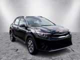 Kia Stonic bei Reisemobile.expert - Abbildung (5 / 12)