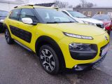 Citroen C4 Cactus bei Reisemobile.expert - Abbildung (2 / 15)