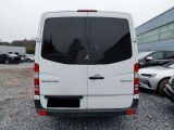 Mercedes-Benz Sprinter bei Reisemobile.expert - Abbildung (5 / 14)