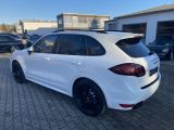 Porsche Cayenne bei Reisemobile.expert - Abbildung (4 / 12)