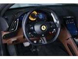 Ferrari Roma bei Reisemobile.expert - Abbildung (13 / 15)