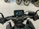 Honda Motorräder bei Reisemobile.expert - Abbildung (5 / 7)