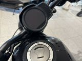 Honda 1100 Rebel bei Reisemobile.expert - Abbildung (6 / 7)