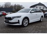 Skoda Octavia bei Reisemobile.expert - Abbildung (3 / 15)