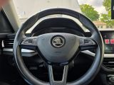Skoda Kamiq bei Reisemobile.expert - Abbildung (9 / 15)