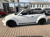VW New Beetle bei Reisemobile.expert - Abbildung (13 / 15)